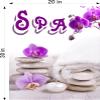 Spa II Day Treatment Salon Sign Advertising Marketing Dcor Vertical (Perforated 70/30 See Through Window Vinyl (Outdoors), 30") view 2