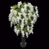 AMERIQUE Gorgeous & Unique 5 Feet Blooming Artificial Silk Creamy White Wisteria Tree with Twisted Trunks, in Nursery Pot, Feel Real Technology view 1