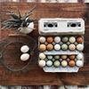 Egg Cartons- Adorable Printed Design for Farm Fresh Eggs, Recycled Paper Cardboard, Sturdy & Reusable, Holds up to XL Chicken Eggs (Blank Stamping, 25) view 1