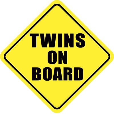 Vinyl Sticker Decal Twins ON Board Vinyl Car Truck Window, 5.8 in. x 5.8 in.