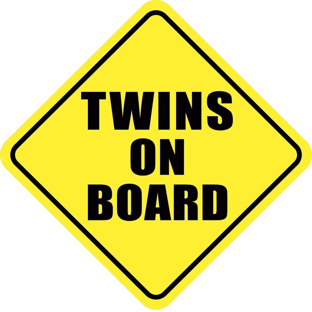 Vinyl Sticker Decal Twins ON Board Vinyl Car Truck Window, 5.8 in. x 5.8 in.