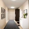 21 FT Long Non Slip Washable Carpet Runner Rug with Rubber Backing, Custom Floor Mat for Kitchen Hallway Stairs Bedroom Bathroom Entry, Anthracite Grey, Your Choice of Length view 3
