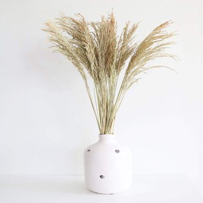 Afloral Preserved Congo Grass