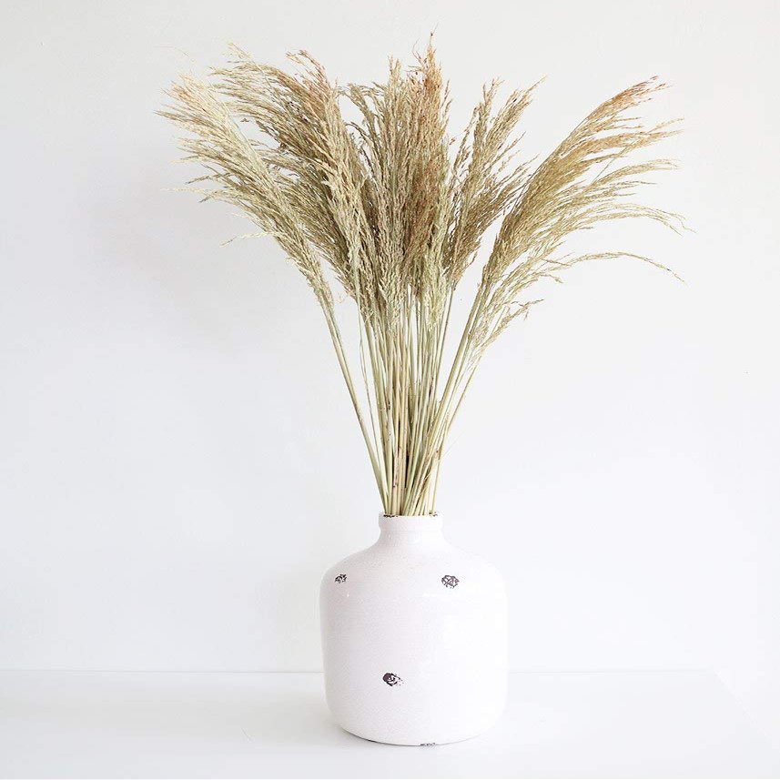 Afloral Preserved Congo Grass