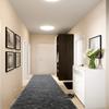 20 ft Extra Long Non-Slip Gray Carpet Runner Rug with Rubber Backing for Hallway Entryway Kitchen Bathroom Bedroom Stairs, Custom Cut Runner Rugs, Floral Anthracite (26" x 20') view 3