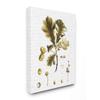 Stupell Industries Tree Leaves Seeds Fall Autumn Seasonal Design Canvas Wall Art, 24 x 30, Multi-Color view 1