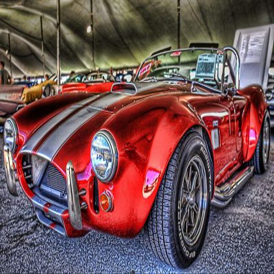 1965 Shelby Cobra - Canvas OR Print Wall Art