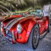 1965 Shelby Cobra - Canvas OR Print Wall Art view 1