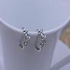 Bansriracha International Quality Certification Fashion Jewelry Flowers AAA Zircon 925 Sterling Silver Stud Earrings view 4