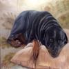 16"x20" Custom Pet Portrait, Pet Memorial, Oil Portrait, Pet Painting, 1 Figure view 2