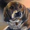 16"x20" Custom Pet Portrait, Pet Memorial, Oil Portrait, Pet Painting, 1 Figure view 3