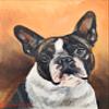 16"x20" Custom Pet Portrait, Pet Memorial, Oil Portrait, Pet Painting, 1 Figure view 4