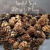 Pinecones - Natural Brown Color - About 4,500 Pieces in Assorted Sized Pine Cones - 6 lbs - Christmas Potpourri Bowl Filler - DIY Crafts - Unscented - 1/4" to 1" L view 4