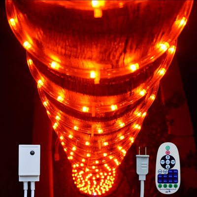 Russell Decor LED Rope Lights with 10-Level Dimmable Remote Control Waterproof Flexible for Outdoor Party Wedding Christmas Decoration 100ft (Red)