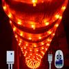Russell Decor LED Rope Lights with 10-Level Dimmable Remote Control Waterproof Flexible for Outdoor Party Wedding Christmas Decoration 100ft (Red) view 1