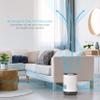 Pure Enrichment MistAire Eva - Mist-Free Evaporative Humidifier with Antibacterial Filter, 2.8-L Tank, 4 Speeds, Large Room Coverage up to 500 sq. ft., Night Light, Auto Shut-Off Timer, No White Dust view 2