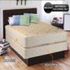 Dream Solutions USA Dream Sleep Chiro Premier Gentle Firm Mattress and Box Spring Set (Beige) - Double-Sided, Orthopedic, Sleep Support, Good for Your Back, Long Lasting (Queen 60"x80"x9") view 3