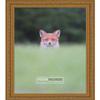 Poster Palooza 14x12 Traditional Antique Gold Complete Wood Picture Frame with UV Acrylic Plexiglass, Foam Board Backing & Hardware Included view 3