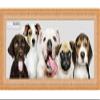 Poster Palooza 24x10 Ornate Gold Complete Wood Picture Frame with UV Acrylic Plexiglass, Foam Board Backing & Hardware Included view 3