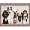 Poster Palooza 30x10 Ornate Silver Complete Wood Panoramic Frame with UV Acrylic Plexiglass, Foam Board Backing & Hardware Included view 3