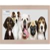 Poster Palooza 30x10 Contemporary White Washed Complete Wood Panoramic Frame with UV Acrylic Plexiglass, Foam Board Backing & Hardware Included view 3