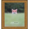 Poster Palooza 39x27 Traditional Antique Gold Complete Wood Picture Frame with UV Acrylic Plexiglass, Foam Board Backing & Hardware Included view 3