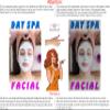 Facial IV Day Spa Salon Sign Advertising Marketing Dcor Vertical (Perforated 70/30 See-Through Window Vinyl Sign [Outdoors], 36H x 24W) view 3