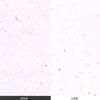 Wrapping Paper, 107 W, Washi Unryu, Gold & Silver Swing, Pack of 50, 29.9 x 41.7 inches (760 x 1060 mm) view 3