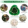 24K Gold Dipped Real Rose Valentines Flower, Golden Friend Romantic Love Girlfriend Confidante Wife Mom Grandma on Birthday Sweetest Day Halloween Thanksgiving, Green view 3