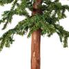 Vickerman 2' 3' 4' Natural Alpine Artificial Christmas Tree Set, Warm White LED Lights - Christmas Tree Set view 3