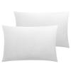NTBAY Velvet Soft Solid Color Zipped Toddler Pillowcases, 2 Pack Cozy Luxury Zippered Plush Baby Travel Pillow Cases, 13x18 Inches, White view 1