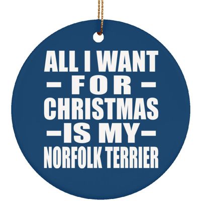 Designsify Christmas Tree Decoration, All I Want for Christmas is My Norfolk Terrier, Circle Ornament Blue, Gifts for Birthday Anniversary Valentines Mom Mothers Fathers Day Party, to Men Women Him