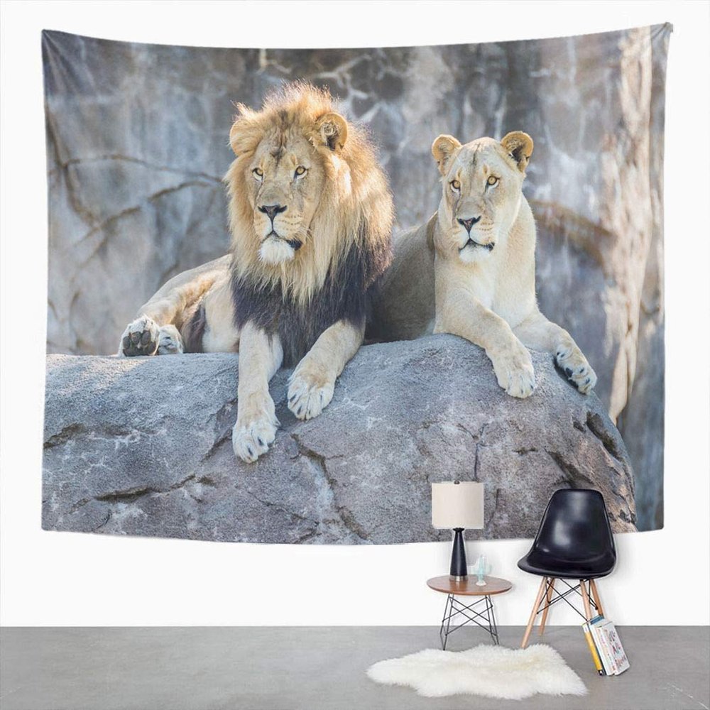 Suklly Lion Tapestry Zoo Male Female Lion Sitting on Rock Tapestry Lioness Tapestry for Home Dorm 60 X 80 Inches