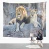 Suklly Lion Tapestry Zoo Male Female Lion Sitting on Rock Tapestry Lioness Tapestry for Home Dorm 60 X 80 Inches view 1