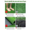 Artificial grass, 2cm High Grass Turf Realistic Fake Thick Lawn Mat Pet Outdoor Garden Landscape Size Can Be Customized (Size : 2x2m) view 3