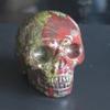 2'' Hand Carved Mixed Gemstone Crystal Skull Figurine Carving Home Decor (Dragon Blood Jasper) view 1
