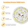 Honle E26 E27 LED 12-24V AC/DC Low Voltage 7W Daylight White 6000k Standard Edison Base 60W Halogen Bulb Equivalent for Rv Off Grid Solar Panel Project Lighting Boat Garden Landscape Pack of 2 view 3
