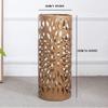 AIZYR Umbrella Storage Stand, Free Standing Holder - for Canes Walking Sticks, with Drip Tray Metal, Umbrella Stand Indoor,Gold view 3