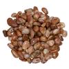 Digging Dolls: 3 lbs Tumbled Sardonyx Stones from Africa - 0.5" to 0.75" avg. - Polished Rocks for Arts & Crafts, Reiki, Wicca and so Much More! (Size #5) view 1