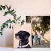 Customized Photo Print on Wood - Personalized Gifts for Wedding, Anniversary, Engagement, Valentines - Custom-Made Picture Frames and Rustic Wall Decor for Home, Kitchen (8x12 inch) view 4