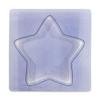 10" Star Stepping Stone Mold view 1