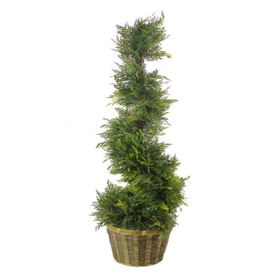 Admired By Nature 36" Artificial Cypress Spiral Shape Topiary Tree with Planter Bamboo Basket - for Home Decor, Offices, Front Porches - Green, Two-Toned