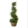 Admired By Nature 36" Artificial Cypress Spiral Shape Topiary Tree with Planter Bamboo Basket - for Home Decor, Offices, Front Porches - Green, Two-Toned view 1