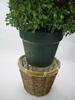 Admired By Nature 36" Artificial Topiary Tree Plants Spiral Shape Faux Treeswith Planters and Bamboo Basket - for Home Indoor Outdoor Decor, Offices, Events - Set of 2, Green view 2