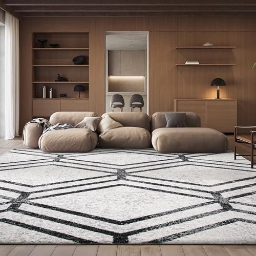 SAFAVIEH Area Rug 8x10 - Adirondack Collection - Large - Ivory & Charcoal, Modern Geometric Design, Non-Shedding & Easy Cleaning, Ideal for Living Room, Bedroom, Office, Dining Space (ADR253B)