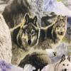 Rustic Decor Blue Winter Wolf Wolves Curtain Valance 42W x 15L Outdoor Theme Wedding Gift view 2