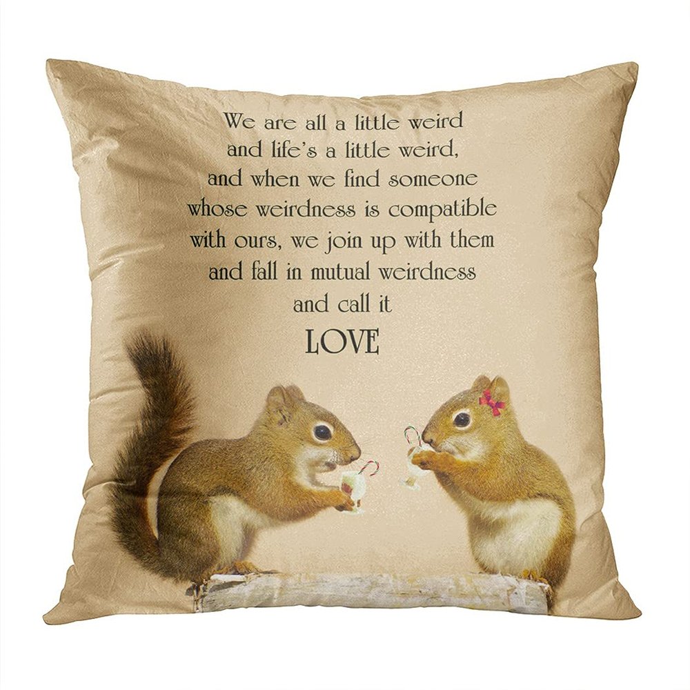 Shenywell Throw Pillow Decor Square 20 x 20 Inch Squirrel Pillows Inspirational Quote Love Cute Pair Squirrels Eggnog Christmas Decorative Cushion Cover Printed Lumbar Pillowcase Home Sofa Living Room