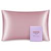 OLESILK 100% Mulberry Silk Toddler Pillowcase for Hair and Skin, Both Sides 19 Momme Pure Natural Silk Travel Pillow Cases with Hidden Zipper, 13"x 18", Light Plum view 1