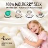 OLESILK Toddler 100% Mulberry Silk Pillowcase, Zipper, 13"x 18", White view 2
