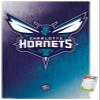 Trends International NBA Charlotte Hornets - Logo 14 Wall Poster, 14.725" x 22.375", Premium Poster & Mount Bundle view 1
